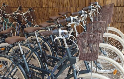 Bicycle rental of various types.