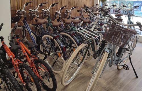 Bicycle rental of various types.