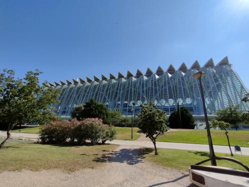 Les photos de visite de la cité des arts et des sciences avec sky bike rent &amp; tours