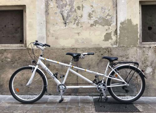 Le foto di bicicletta tandem