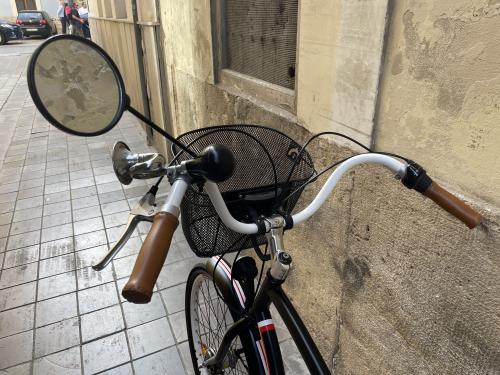 Le foto di bicicletta tandem